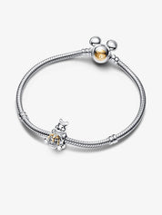 Charm de Winnie the Pooh — 100.º Aniversario de Disney