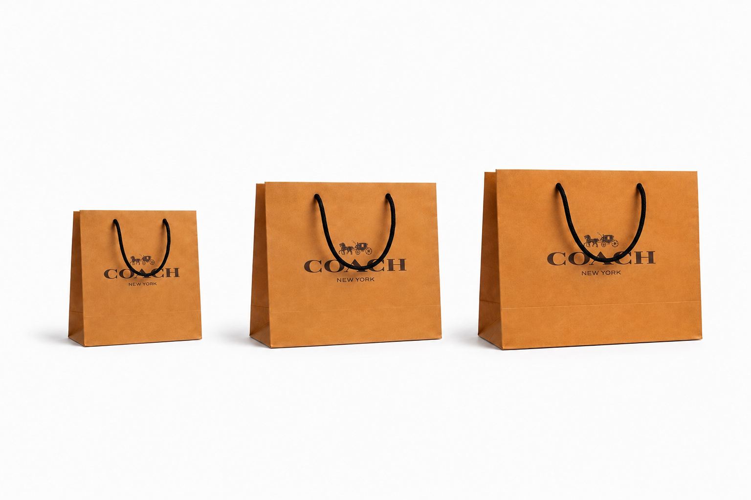 Bolsas Coach Marron