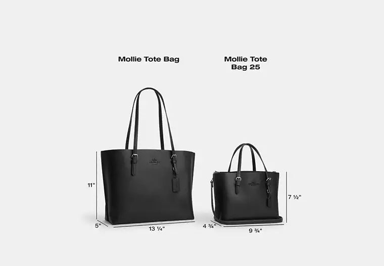 Coach Mollie Tote Bag 25 In Signature Canvas