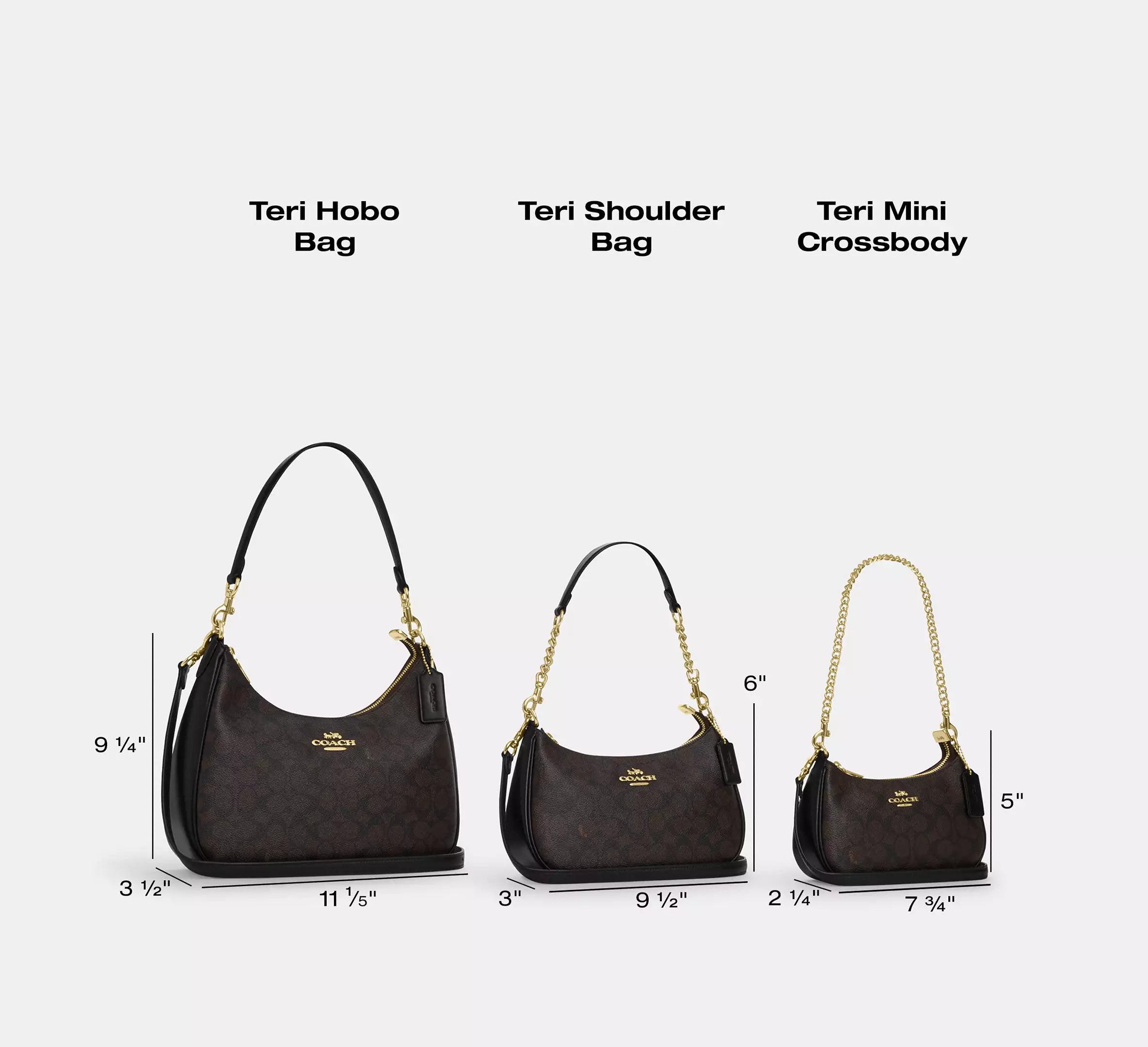 Coach Teri Shoulder Bag – Chalk Signature Canvas
