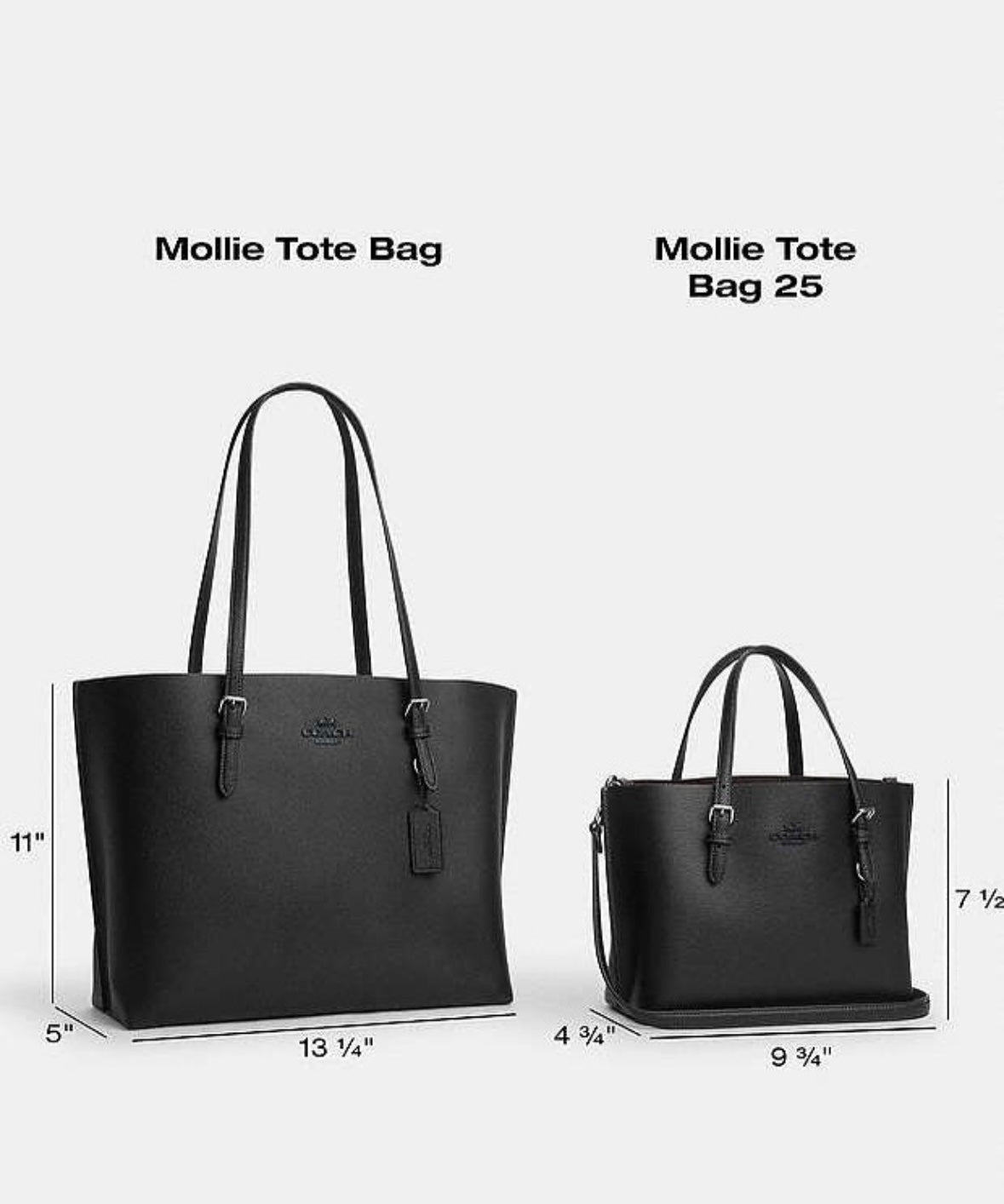 Coach Mollie Tote Bag 25 In Signature Canvas